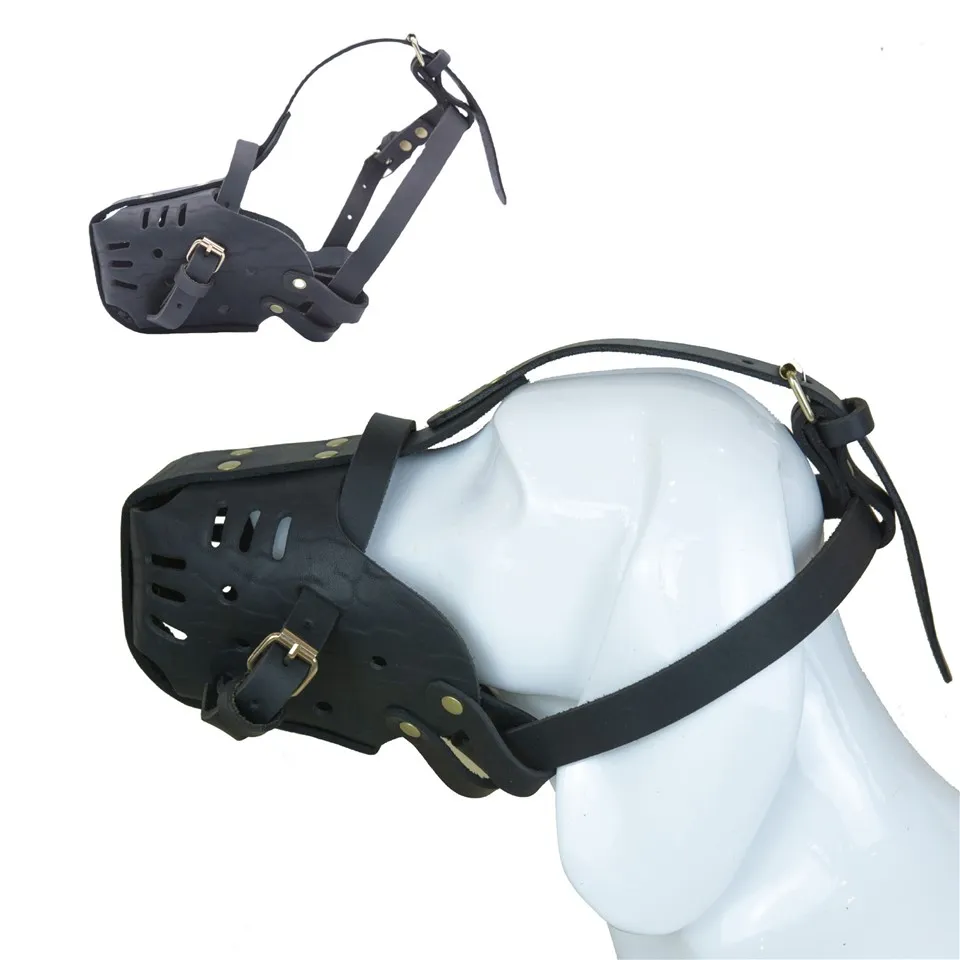 Њушка немачког овчара